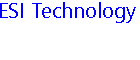 ESI Technology