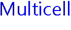 Multicell
